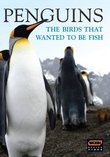 Wgbh Boston Specials: Penguins - Birds Who Wanted
