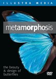 Metamorphosis: The Beauty and Design of Butterflies