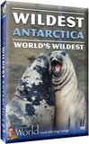Wildest Antarctica
