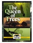 Nature: The Queen of Trees