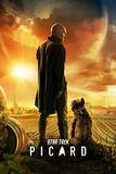 Star Trek: Picard -  Season One (DVD)