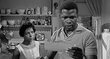 A Raisin in the Sun (The Criterion Collection)