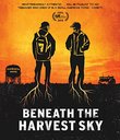 Beneath the Harvest Sky [Blu-ray]