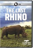 NATURE: The Last Rhino DVD