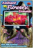 Ambient Flowers: Summer - Ultimate Video Garden & Reference DVD