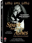 Spark Among the Ashes