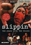 Slippin: Ten Years with the Bloods
