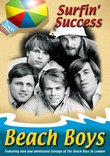 Beach Boys - Surfin' Success