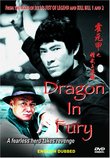 Dragon in Fury (Ws Sub)