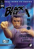 Shaolin Against Lama