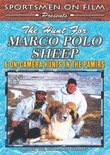 The Hunt for Marco Polo Sheep