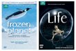 Frozen Planet / Life