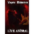 Yngwie Malmsteen: Live Animal