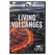 NATURE: Living Volcanoes DVD