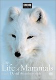 The Life of Mammals, Vol. 2