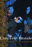 Concrete Blonde: Still in Hollywood - The Videos