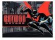 Batman Beyond: The Complete Series (Limited Edition)