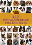 132nd Westminster Kennel Club Dog Show