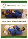 Brazilian Jiu Jitsu Blue Belt Requirements: Fundamentals for All