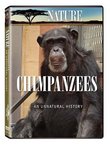 Nature: Chimpanzees - An Unnatural History