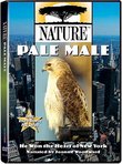 Nature - Pale Male