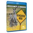 Nature: Kangaroo Mob [Blu-ray]