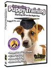 Interactive Puppy Training DVD - Start your Dog off on the Right Paw
