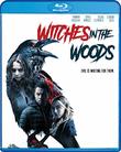 Witches in the Woods [Blu-ray]
