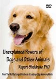 Unexplained Powers of Dogs and Other Animals