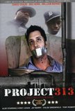 Project 313