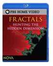 Fractals: Hunting the Hidden Dimension (Blu-ray) [Blu-ray]