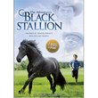 The Adventures of the Black Stallion. Season One, Volume One.