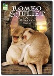 Romeo & Juliet: A Monkey's Tale (Ws)