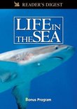 Wondrous Secrets of the Ocean Realm: Life in the Sea