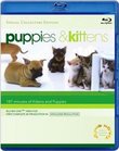 Puppies & Kittens [Blu-ray]