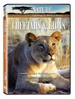 Nature: Cheetahs and Lions