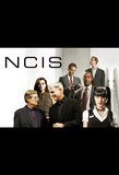 NCIS: Season Eight