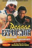 Reggae Explosion 2003 DVD