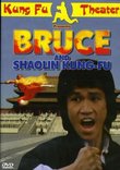 Bruce and Shaolin Kung Fu