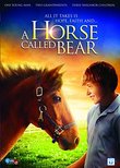 Horse Called Bear