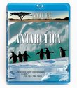 Nature: Under Antarctic Ice/Encountering Sea Monsters [Blu-ray]