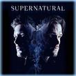 Supernatural: The Complete Fourteenth Season (DVD)
