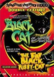 The Black Cat / The Fat Black Pussycat