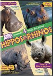 Hippos & Rhinos (Full)