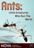 NOVA: Ants - Little Creatures Who Run the World