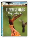 Nature: Hummingbirds