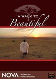 A Walk To Beautiful - NOVA