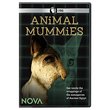 Nova: Animal Mummies