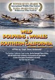 Wild Dolphins & Whales of Southern California