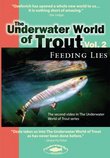 The Underwater World of Trout Volume 2: Feeding Lies